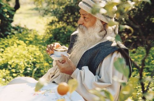  Индии с давних времен считается местом, где духовные практики и медитация были признаны законом жизни. Именно в этой стране возникла концепция вегетарианства, основанная на понимании единства всего сущего. Приверженцы этого учения считают, что пища является основным источником энергии, поэтому только еда, полученная из растений, может обеспечить духовное просветление.