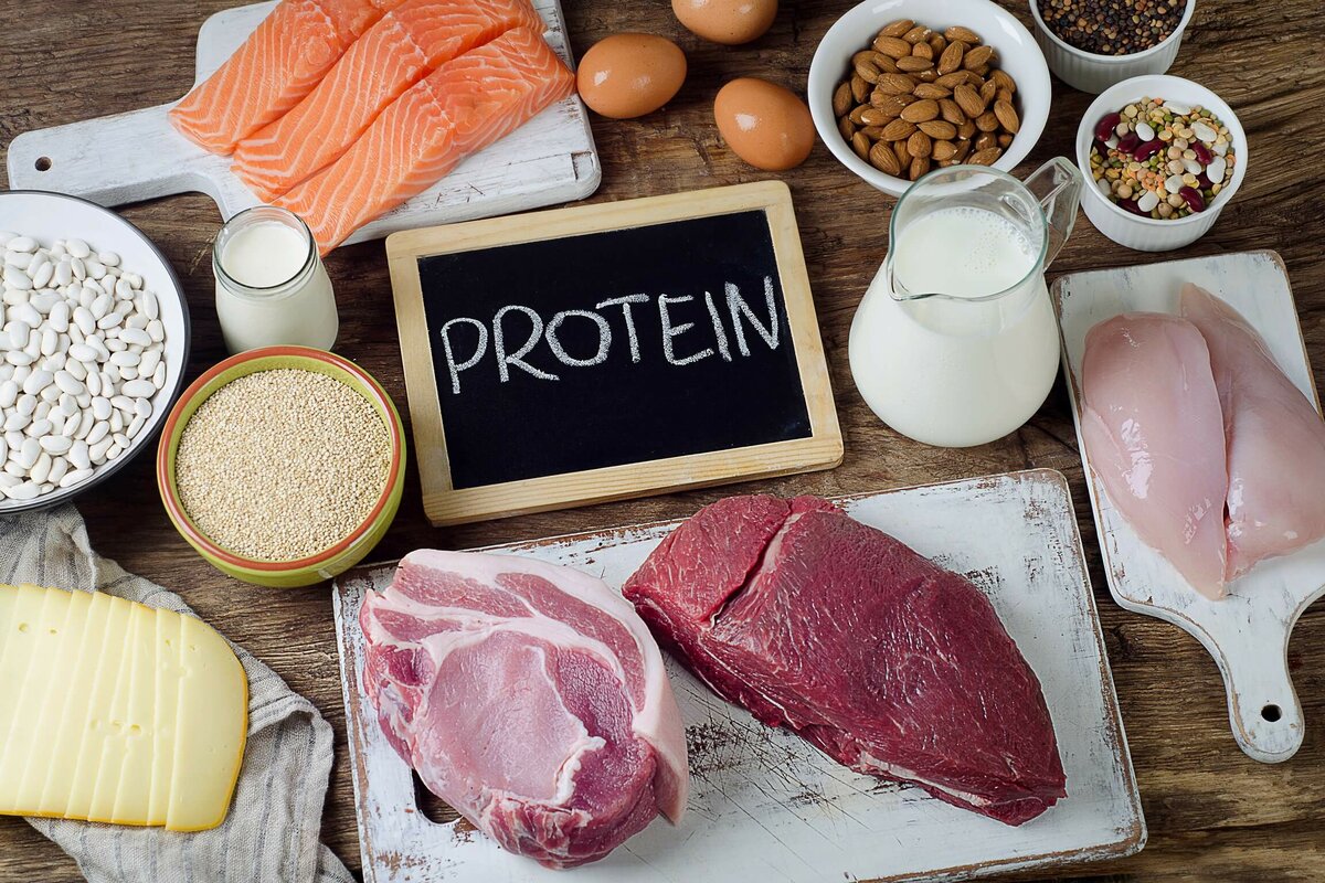 Продукты, которые можно употреблять при белковой диете: