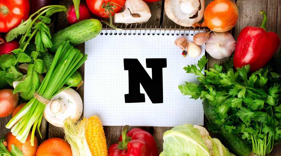Биологические функции витамина N