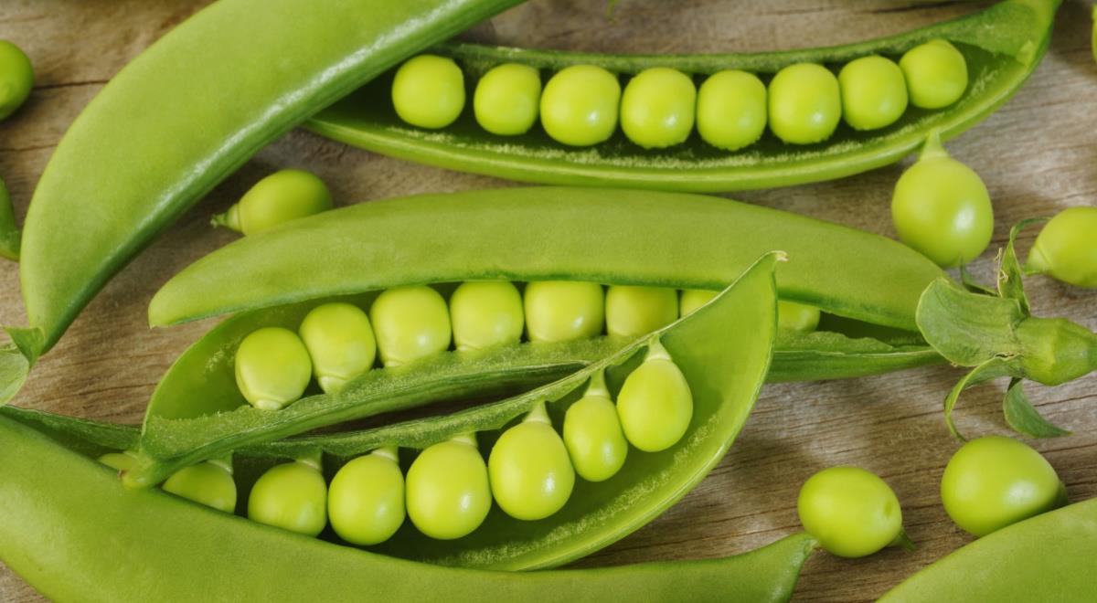 Примерное меню рациона питания диеты «Зеленый горошек»