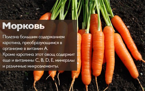 Калорийность моркови полезные свойства