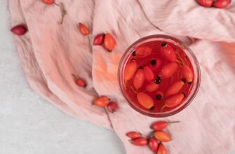 glass of fresh lemonade with rosehips on cloth