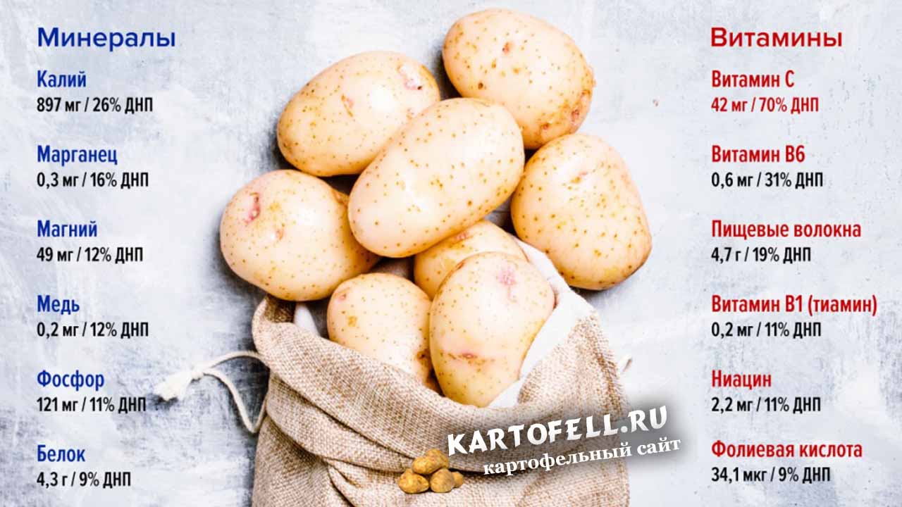 Калорийность картофеля и калорийность блюд с картошкой