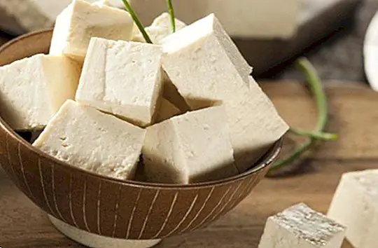Рецепты приготовления блюд включенных в рацион питания тофу-диеты
