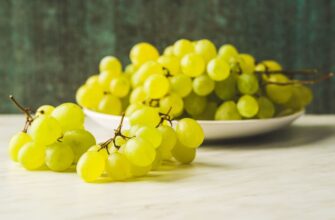 tasty green grapes white grape jx356ul