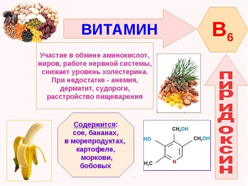 Биологическая роль витамина B6